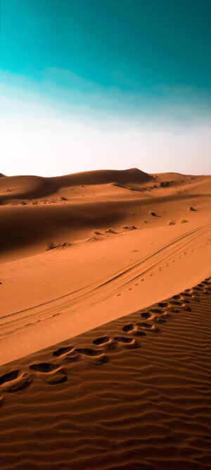 Desert Wallpaper Desert Wallpaper