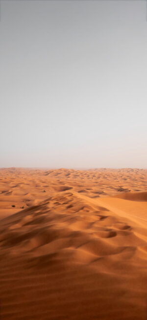 Desert Wallpaper