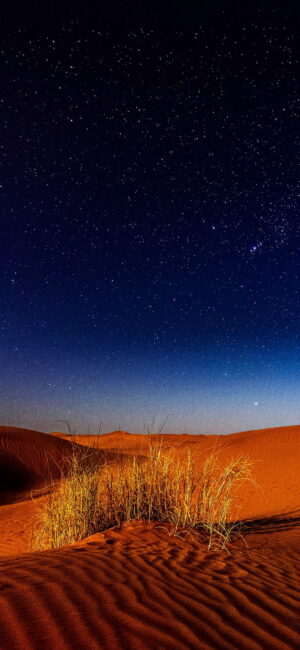 Desert Wallpaper