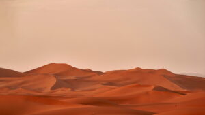 Desert Wallpaper