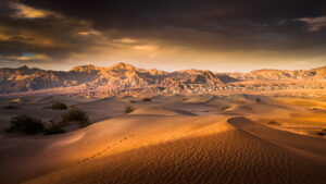 Desert Wallpaper