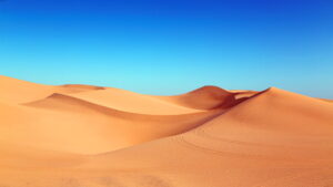Desert Wallpaper