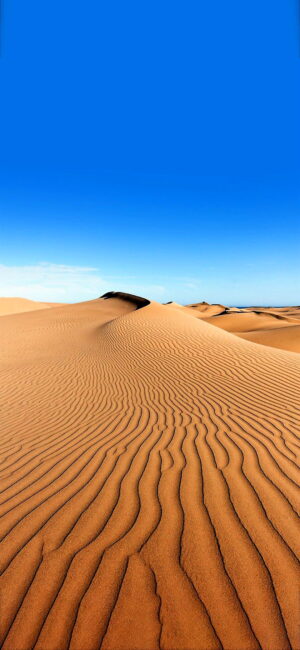 Desert Wallpaper