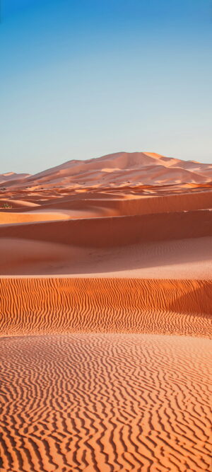 Desert Wallpaper