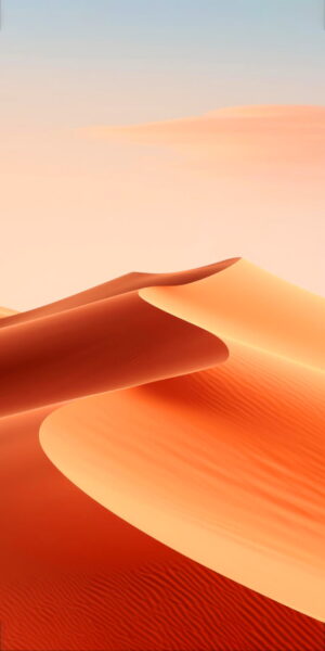 Desert Wallpaper