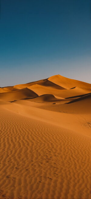 Desert Wallpaper Desert Wallpaper
