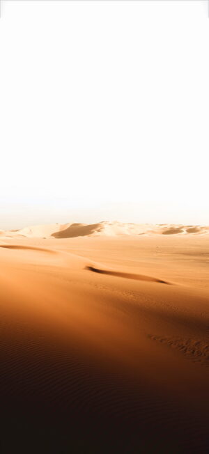 Desert Wallpaper
