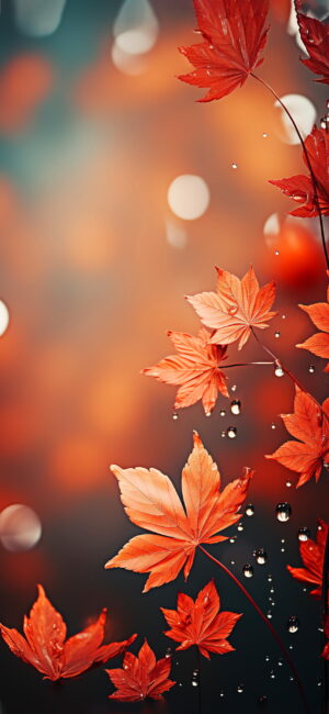Fall Wallpaper