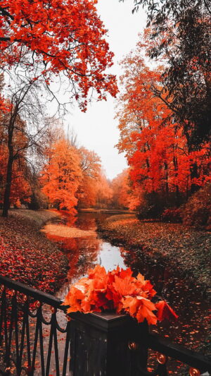 Fall Wallpaper