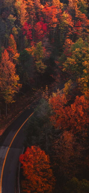 Fall Wallpaper Fall Wallpaper