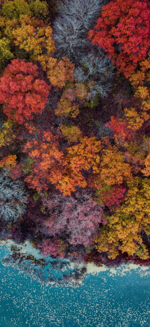 Fall Wallpaper Fall Wallpaper