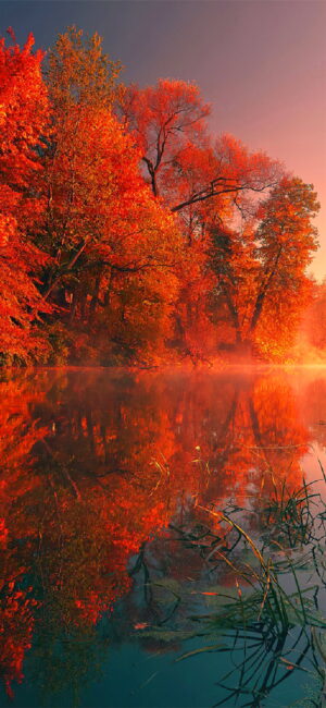 Fall Wallpaper Fall Wallpaper