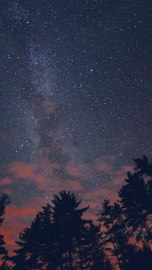 Star Wallpaper